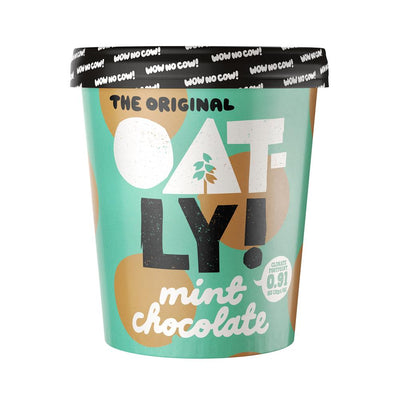 Mint Choc Chip Ice Cream 500 ML