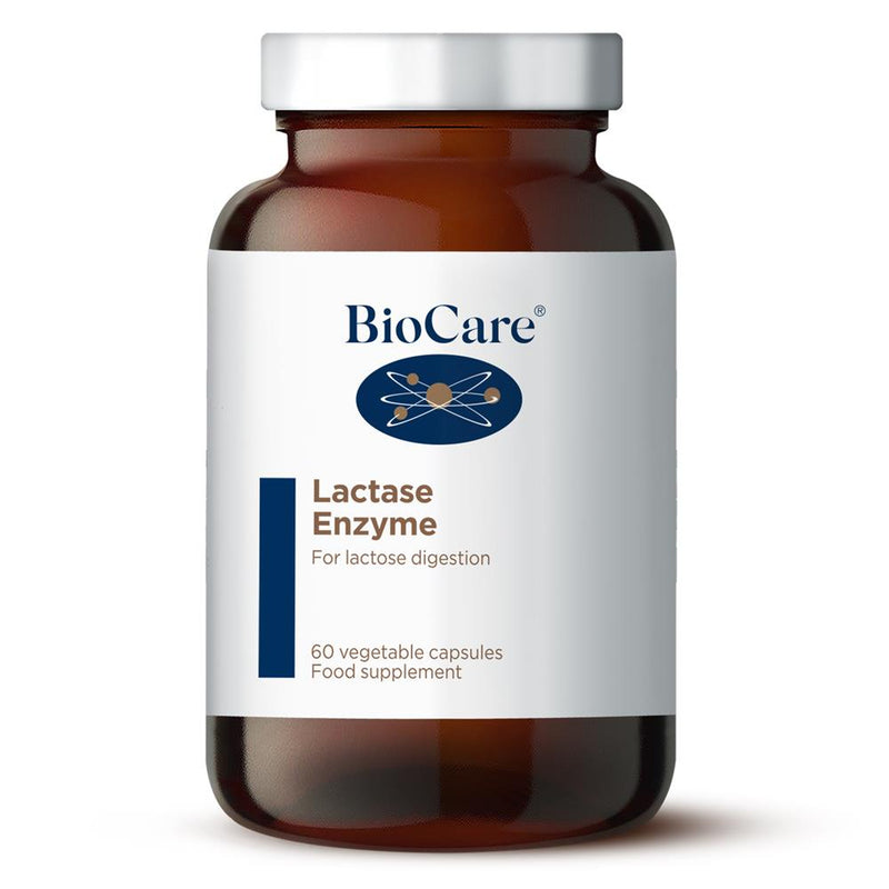 Lactase Enzyme