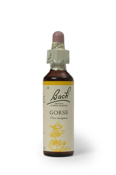 Gorse 20ml