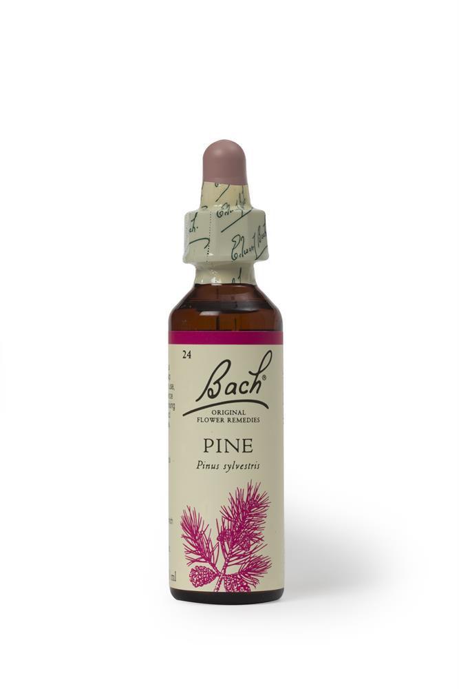 Bach Original Flower Remedies Pine 20ml