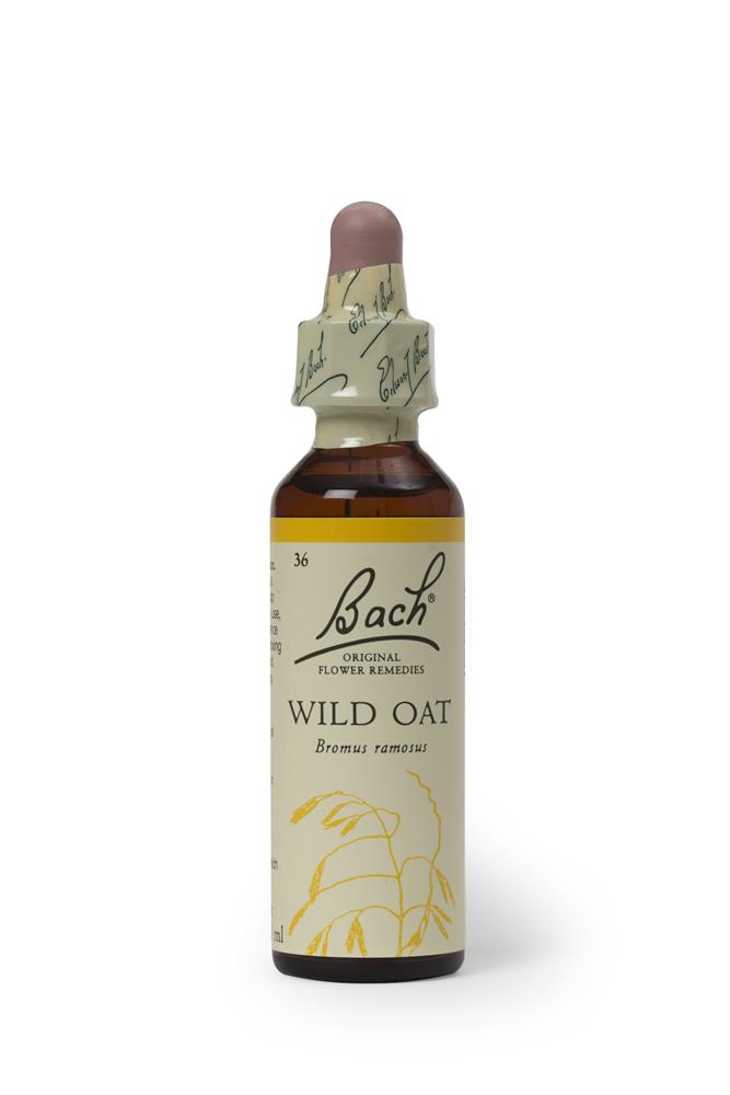 Wild Oat 20ml