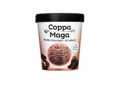 Double Chocolate Ice Cream 500ml