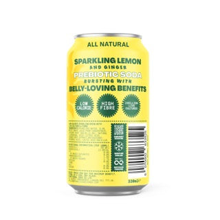 Living Things Lemon and Ginger Feel-Good Soda 330ml