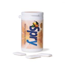 Fresh Fruit Xylitol Gum - 27 piece tube