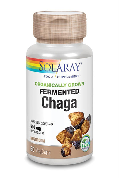 Organically Grown Fermented Chaga