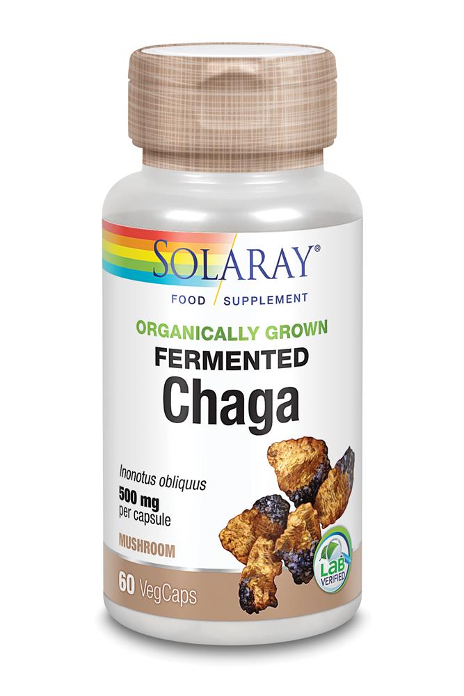 Organically Grown Fermented Chaga