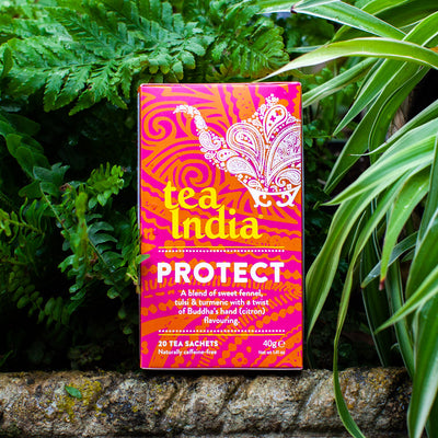 Tea India Protect 40g