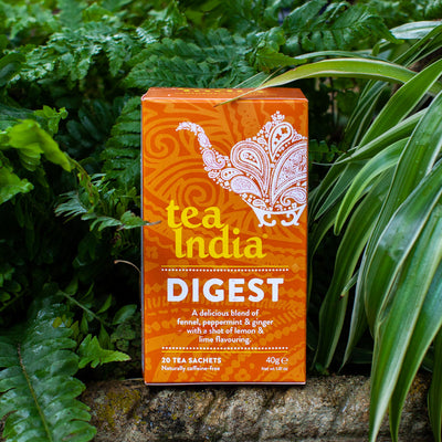 Tea India Digest 40g