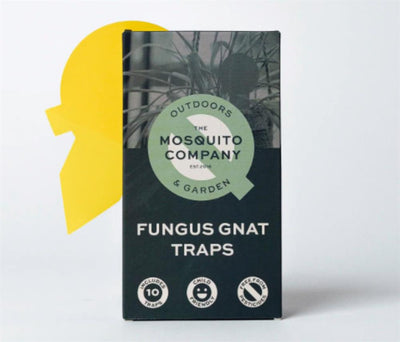 The Mosquito Company - Fungus Gnat Sticky Traps - 10 traps