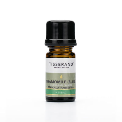 CHAMOMILE (BLUE) Ethically Harv Essential Oil (2ml)