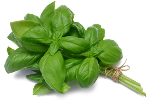 Basil Pack