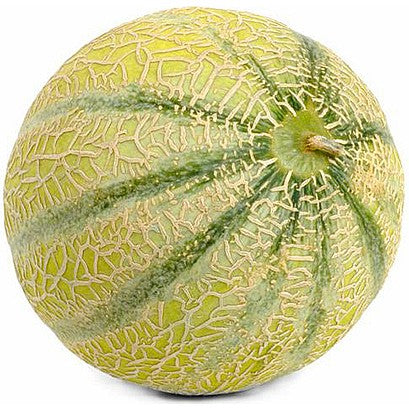 Galia Melon each